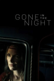 Assistir Gone in the Night online